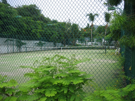 Grass Court